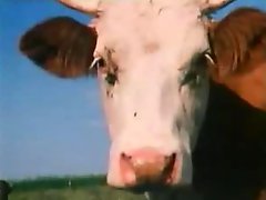 Vintage 70s german - Schulmaedchenporno II - Hurra, die Moese brennt - cc79