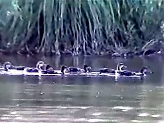 Fuck session in the lake house