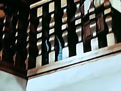 German blonde babe fucked in a retro porn video