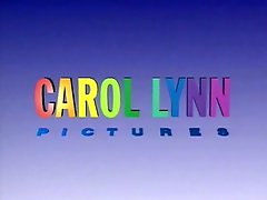 Erbe der Lust - Carol Lynn 1991  Harry S. Morgan