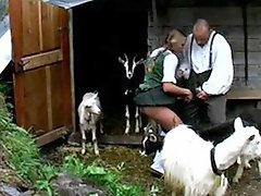 Mountain people fuck while goats are watching