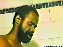 Vintage Interracial Porno