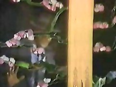 Busty blonde Sally Layd in a gang bang gets nailed and a DP and facial