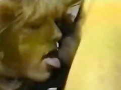 Vintage sucking & fucking video